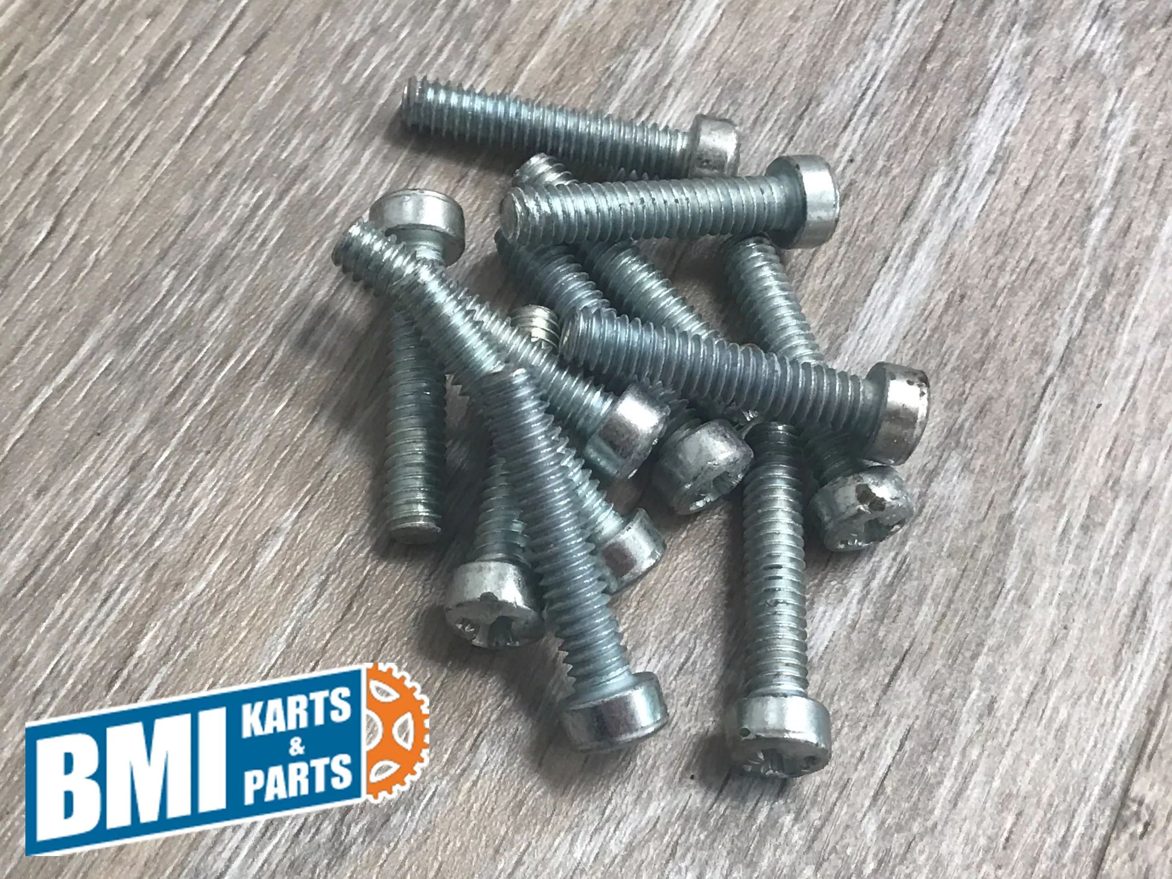 1/4-20 x 1-1/4″ Pozidriv Head Fillister Screw (Pack of 12)