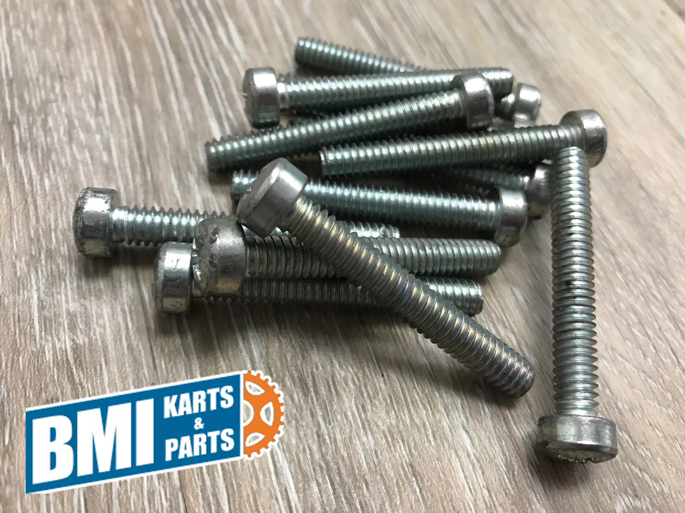1/4-20 x 1-3/4″ Pozidriv Head Fillister Screw (Set of 12)