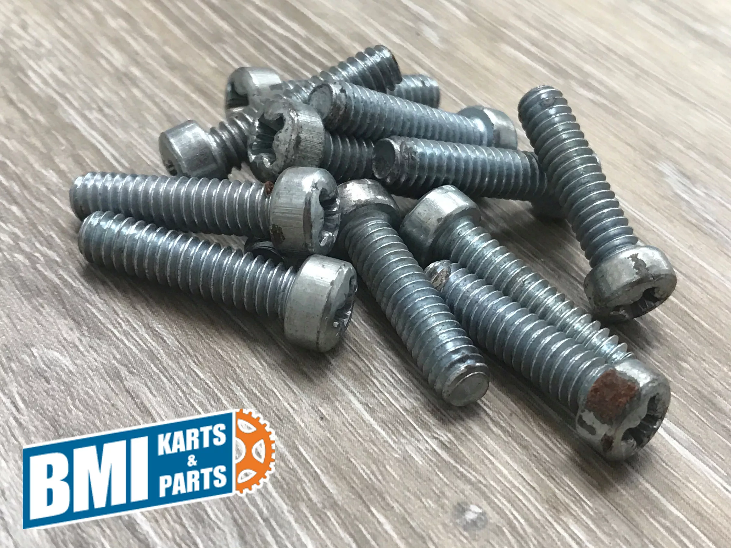 1/4-20 x 1″ Pozidriv Head Fillister Screw (Set of 12)