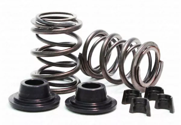 32lb Dual Valve Spring Set for Animal Engine