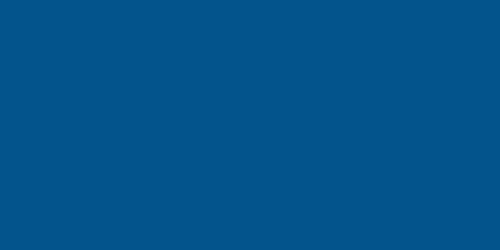 4x8 Plastic Chevron Blue .100in ALL22464