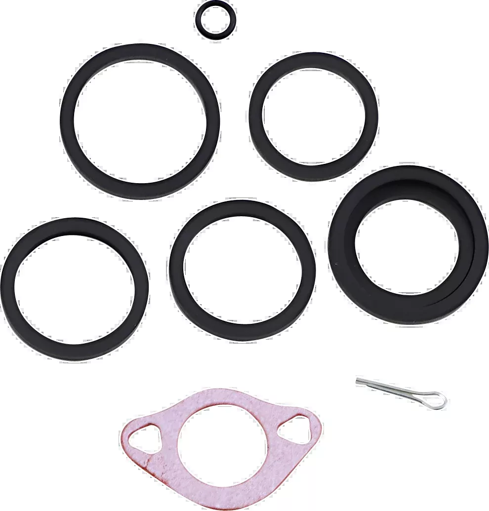 6 Piston Caliper Rebuild Kit