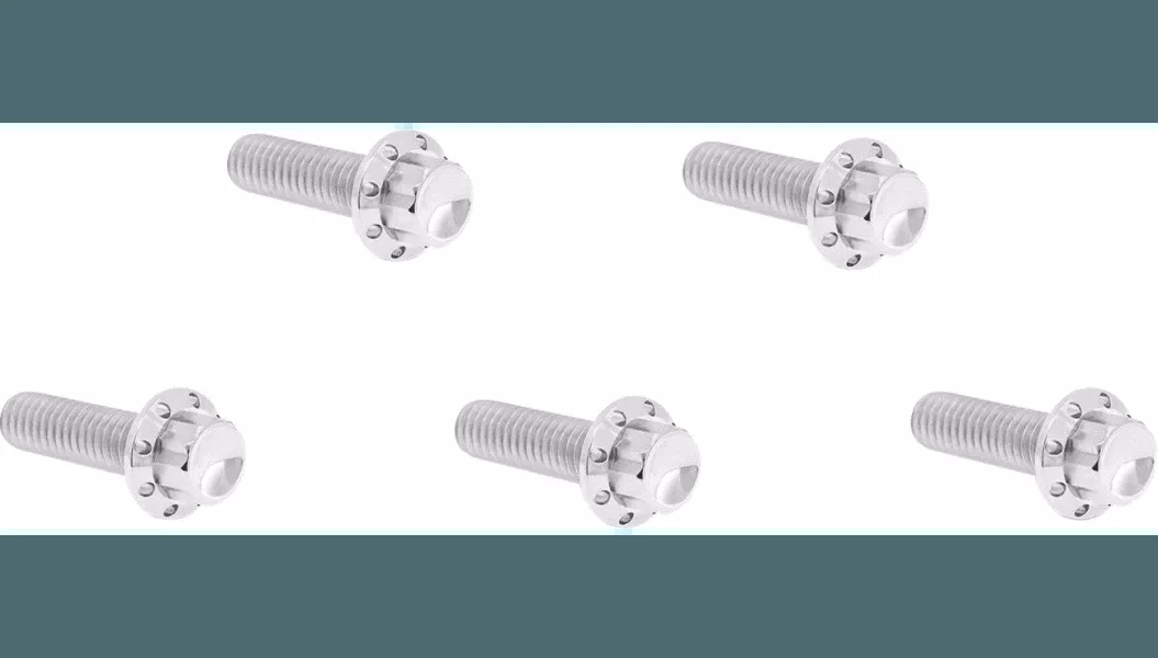 Arlen Ness 12 Point Titanium Derby Cover Bolts for '18-Up Harley Davidson Softail Models (Select Finish)