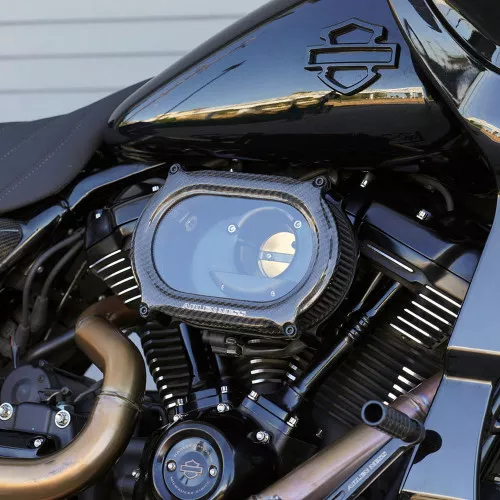 Arlen Ness Stage 2 Oval Air Cleaner for Harley - Carbon Fiber