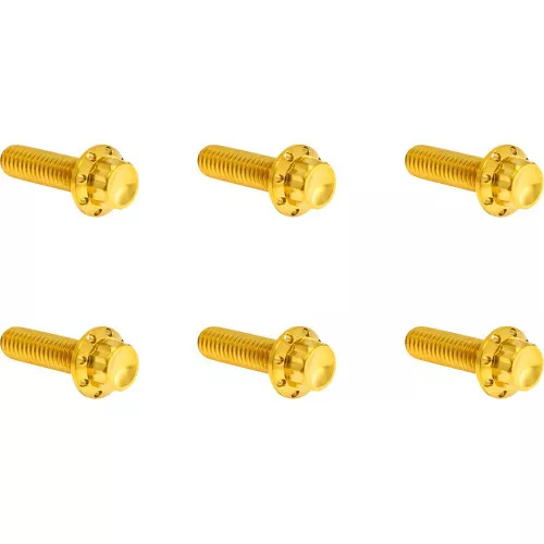 Arlen Ness Transmission Top Cover Titanium 12-Point Bolt Kits for Harley - Gold