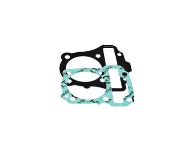 Bbr Gasket Kit - 411-HCF-1110