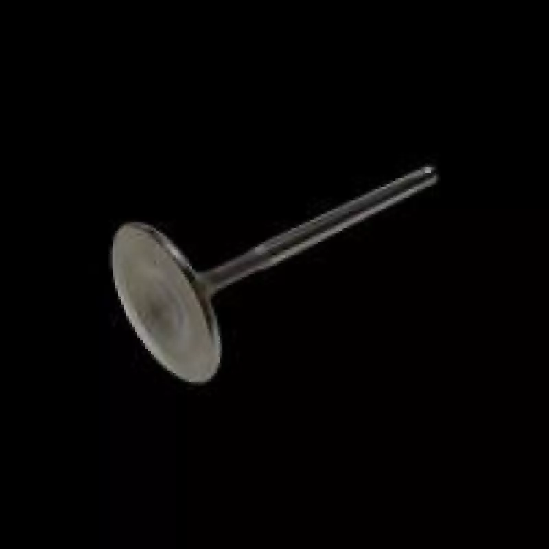 BC Exhaust Valve – Single