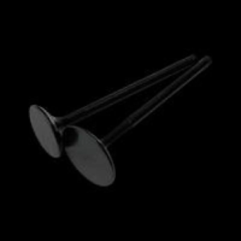 BC Intake Valve Sets