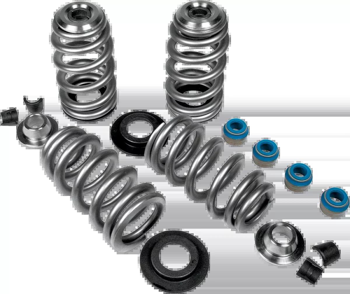 Beehive Valve Springs