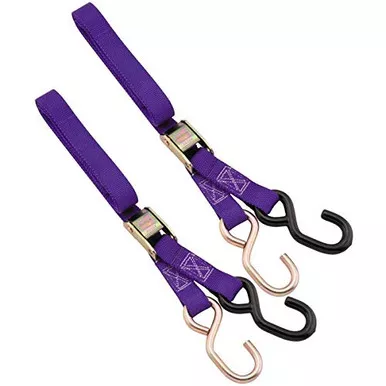BikeMaster 1" Tiedowns (Purple)