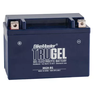 BikeMaster Kawasaki Ninja 300 13-17 TruGel Battery
