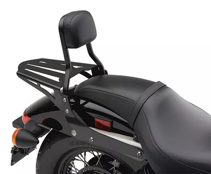 Cobra USA Sissy Bar with Freedom Pad