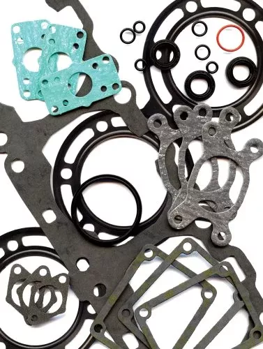 Complete Gasket Kit With Oil Seals Compatible with/Replacement for Polaris
