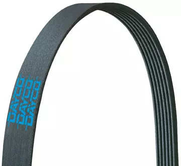 Dayco 5100640 Serpentine Belt for Various Vehicles