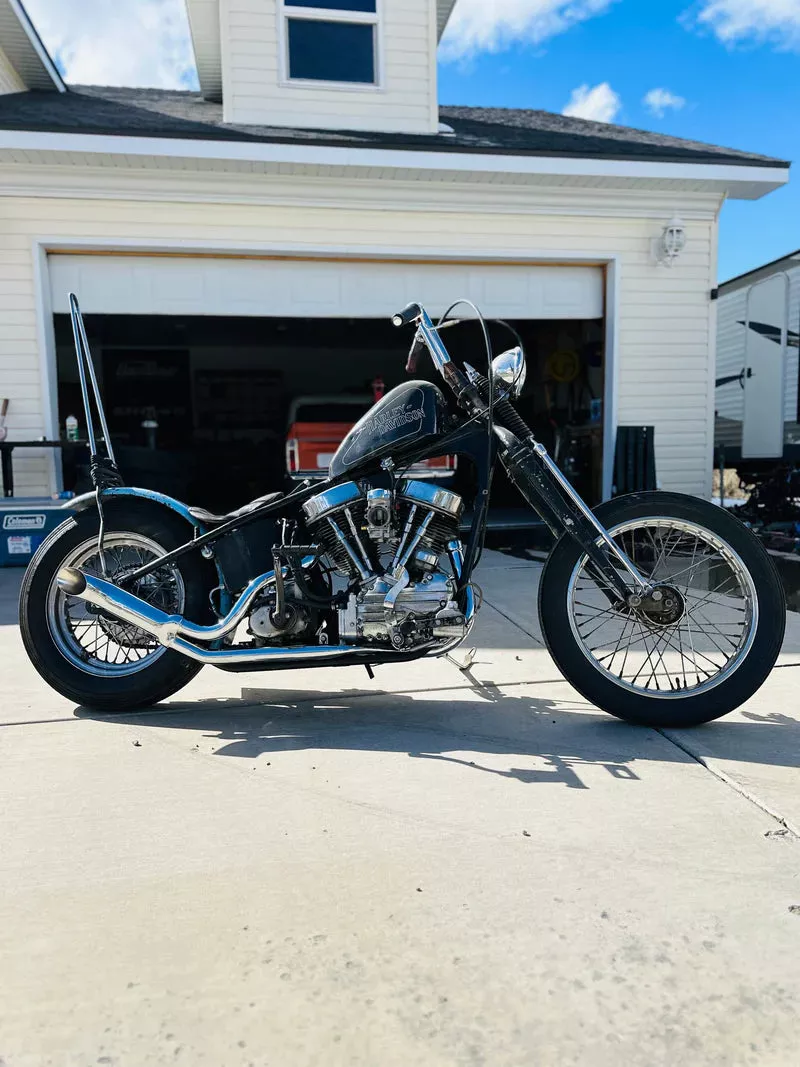 DIRTY BIKER 2:1 EXHAUST SYSTEM HARLEY DAVIDSON PANHEAD