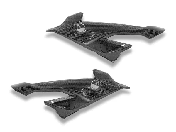 Ducabike DBK BMW S1000RR MY2023 Glossy Carbon Side Panel Infill