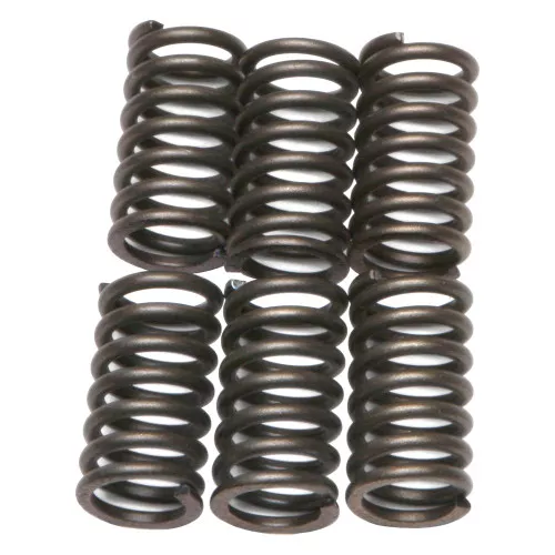 EBC CSK Clutch Spring Set (CSK41)