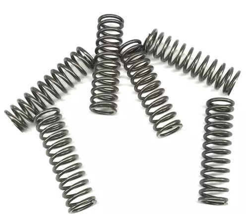 EBC CSK Clutch Spring Set (CSK67)