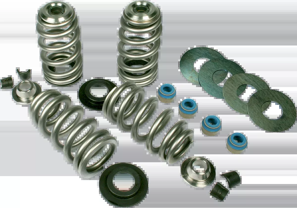Feuling Valve Spring Kit - For 5/16" Valve Stem - Evolution Big Twin | Twin Cam | XL - 1100