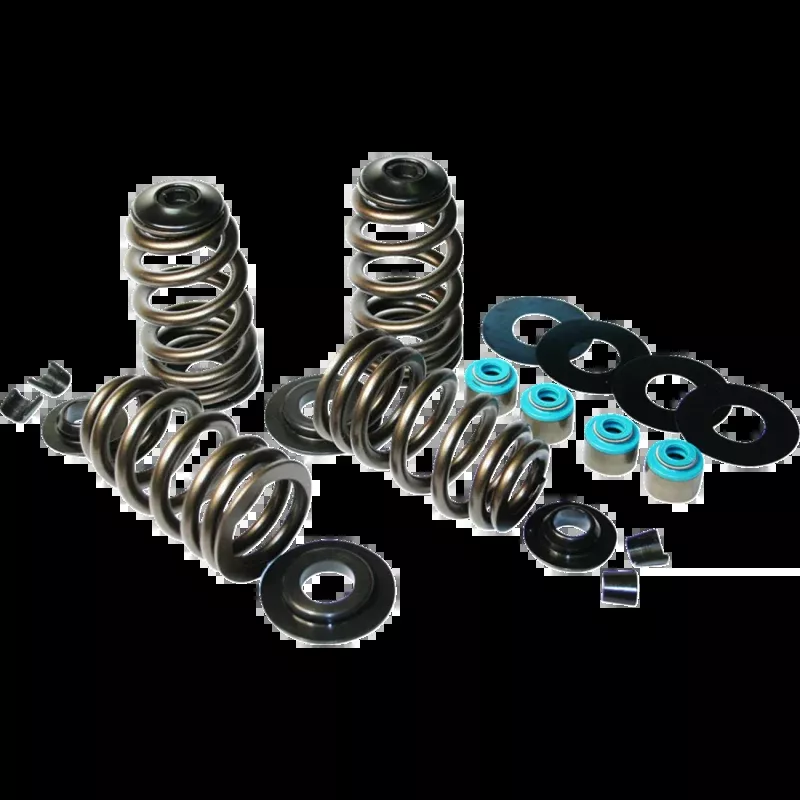 FUELING ECON BEEHIVE VALVE SPRING KIT HARLEY DAVIDSON MODELS