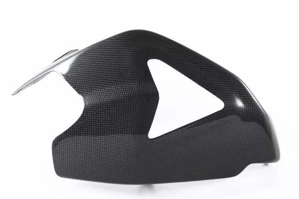 Fullsix Carbon Swingarm Guard – Guard