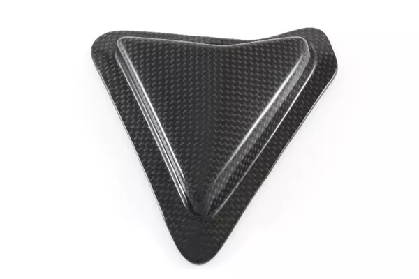 Fullsix Carbon Swingarm Guard – Slider