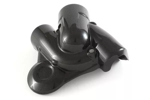 Fullsix Carbon Water Pump Protection