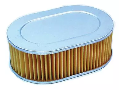 Hiflofiltro HFA1702 Premium OE Replacement Air Filter