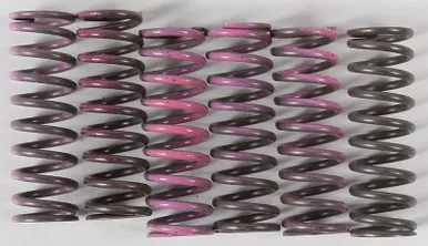 Hinson High Temp Springs 6 Springs - CS330-6-0509