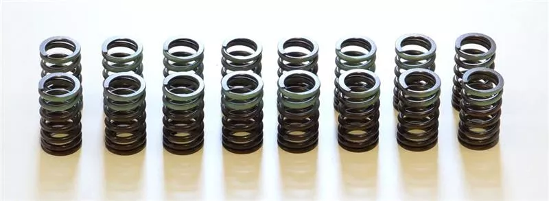 HKS Valve Springs