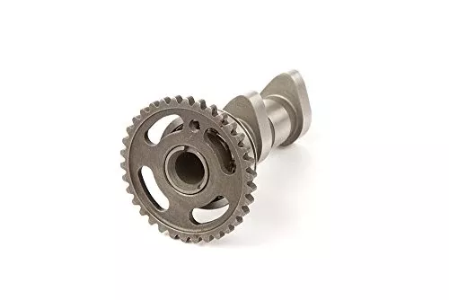 Hot Cams 2196-1IN Camshaft