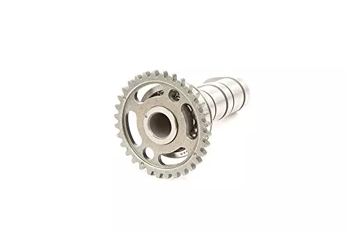 Hot Cams 4054-2IN Camshaft