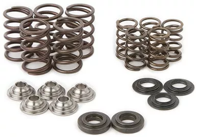 Hot Cams Raptor Spring Kit/ Ti Retainers – SKYFM660S2