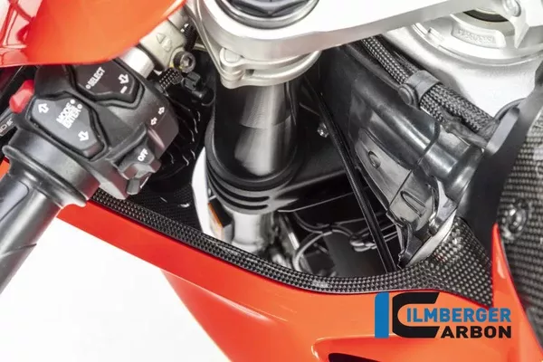 Ilmberger Carbon Air Tube Cover Left Ducati Panigale V4 / V4 S