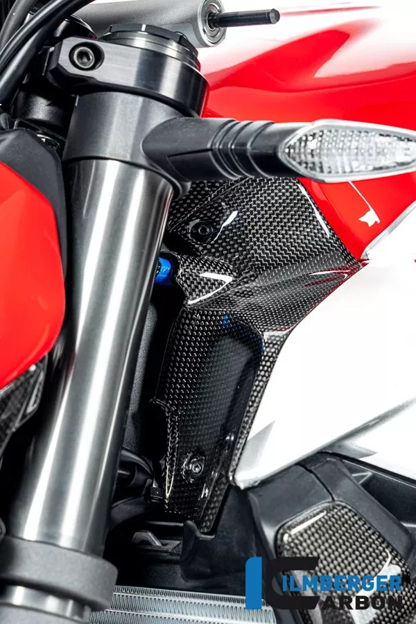 Ilmberger Carbon Air Tube Covers Left Ducati Streetfighter V2