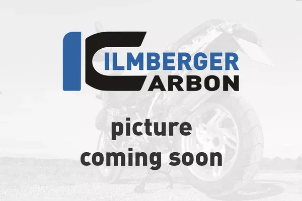 Ilmberger Carbon Alternator Cover Ducati Panigale 1299 (From 2015)