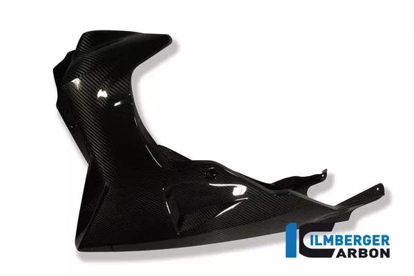Ilmberger Carbon Belly Pan BMW K 1200 R / K 1300 R 2005-2016