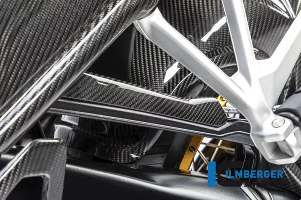 Ilmberger Carbon Brake Pipe Cover BMW R 1250 GS