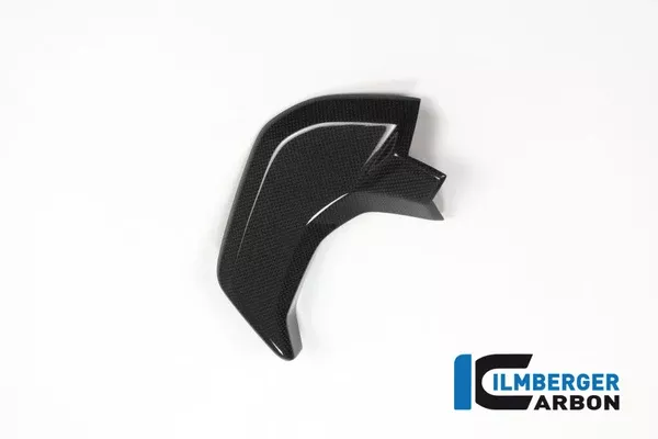 Ilmberger Carbon Cover Near The Instrument Left Side Ducati MTS 2015