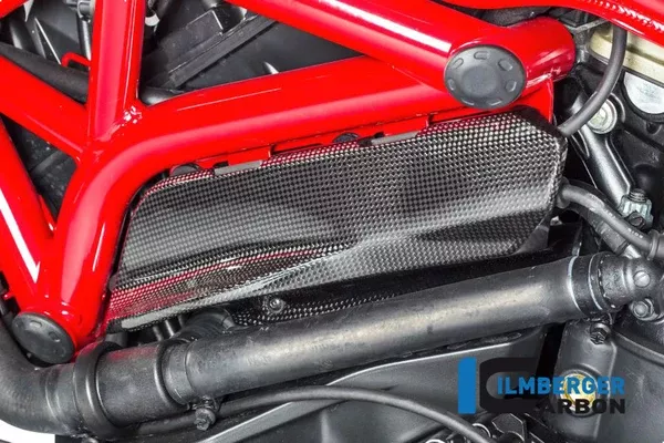 Ilmberger Carbon Cover Under The Frame Left