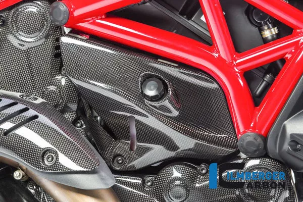 Ilmberger Carbon Cover Under The Frame Right