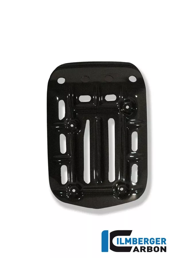 Ilmberger Carbon Engine Guard Bottom BMW R 1200 GS 2004-2012