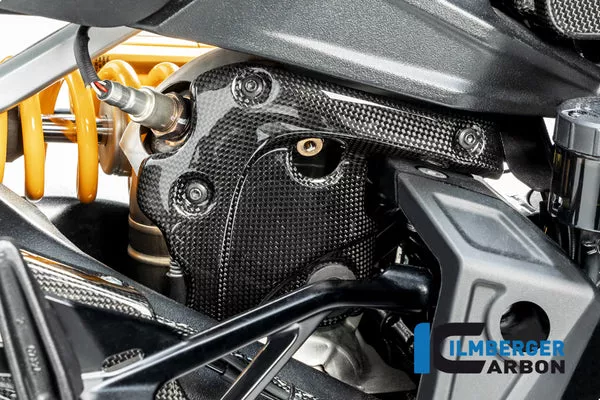 Ilmberger Carbon Exhaust Protection On The Manifold Ducati Diavel 1260