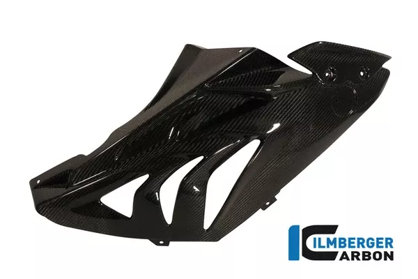 Ilmberger Carbon Fairing Side Panel Racing 2012