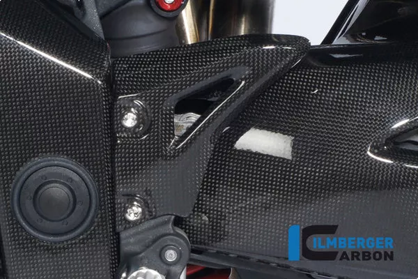 Ilmberger Carbon Heel Guard Left Triumph 2011-2020