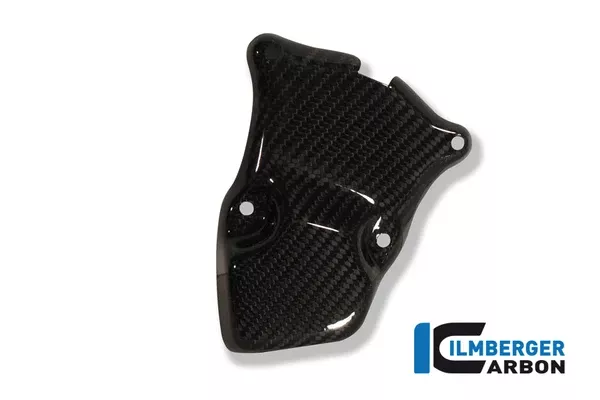 Ilmberger Carbon Ignition Rotor Cover BMW S 1000 RR 2009-2018