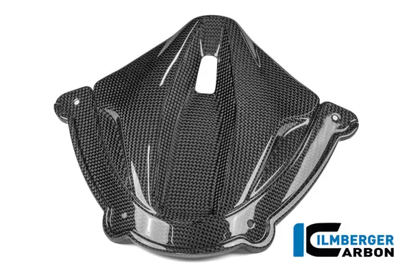 Ilmberger Carbon Instrument Cluster Cover Ducati Panigale V4 2025-2026