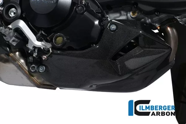 Ilmberger Carbon Motor Spoiler
