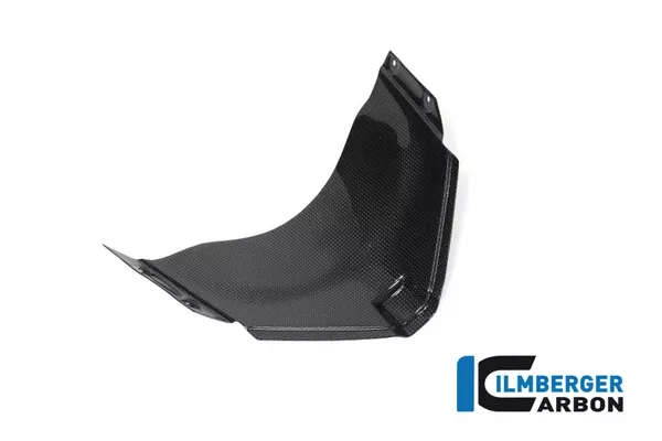 Ilmberger Carbon Panel Under The Front Fairing Ducati Panigale V4 Racing
