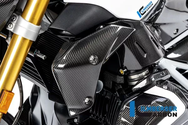 Ilmberger Carbon Radiator Cover Left Side BMW R 1250 R